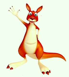 Kenguru Boy